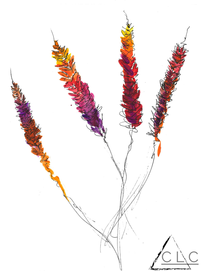 "Harvest Time" - Sold 115-151-harvest-time.png