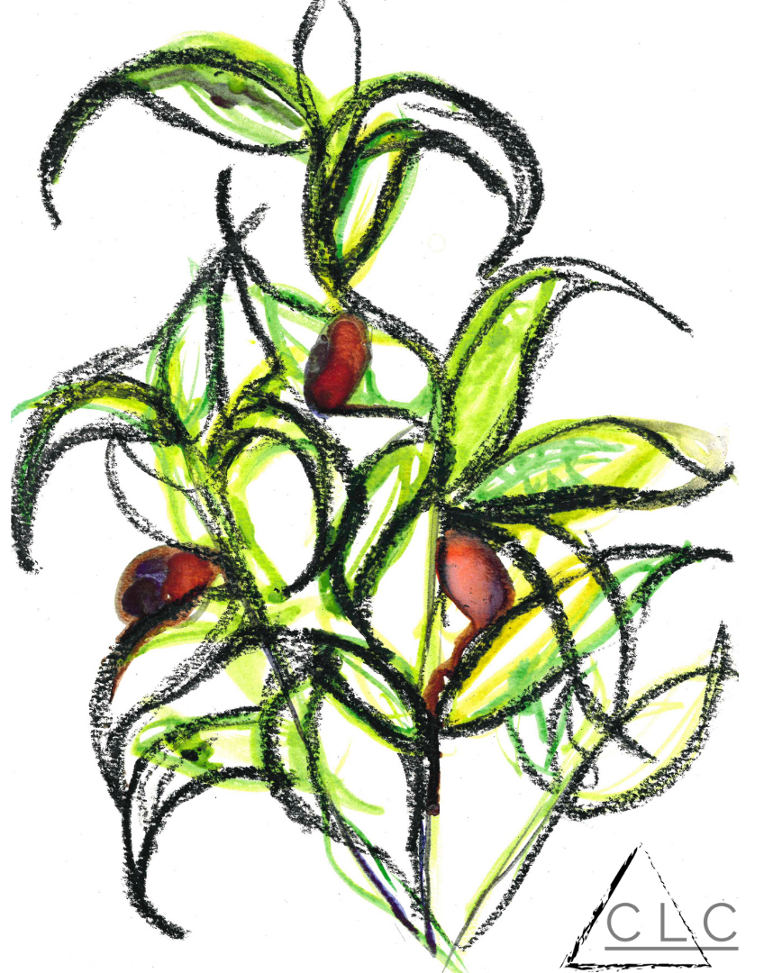 "Extending the Branch" - Sold 115-162-extending-the-branch-16534473366808.png