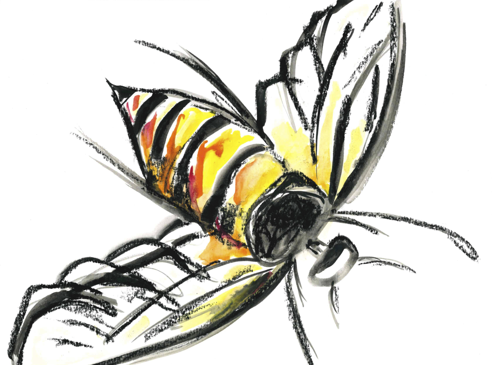 "Buzz" - Sold 115-90-buzz-15883004923207.jpg