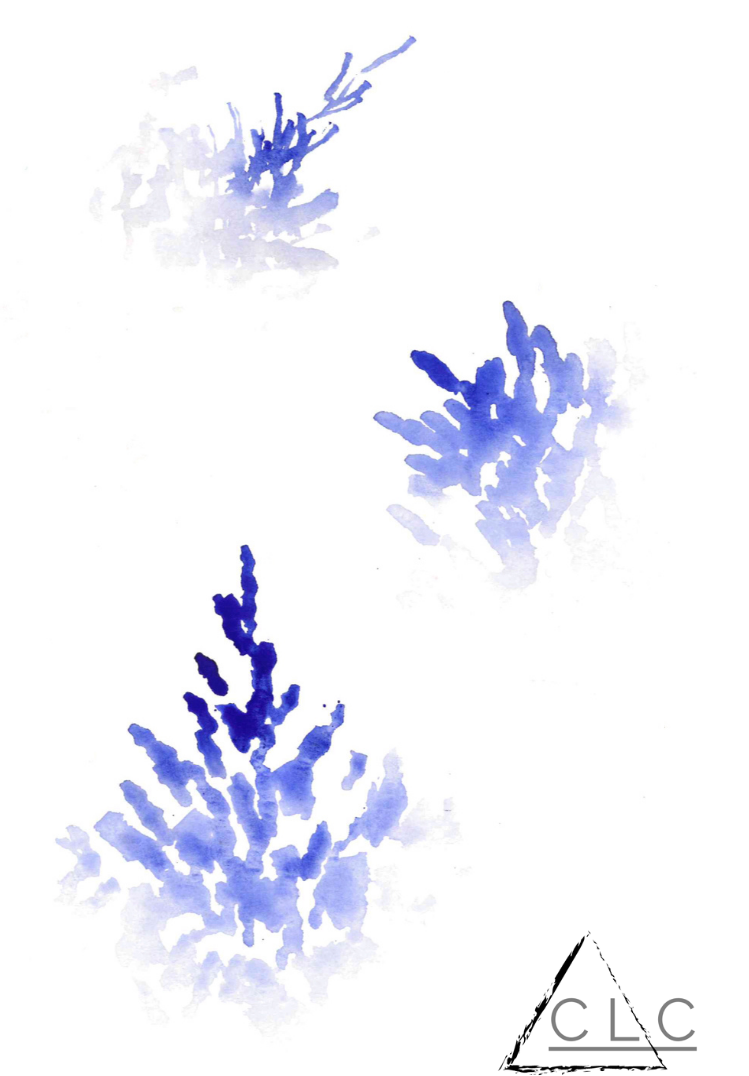 "Paintbrush" 115-95-paintbrush.png