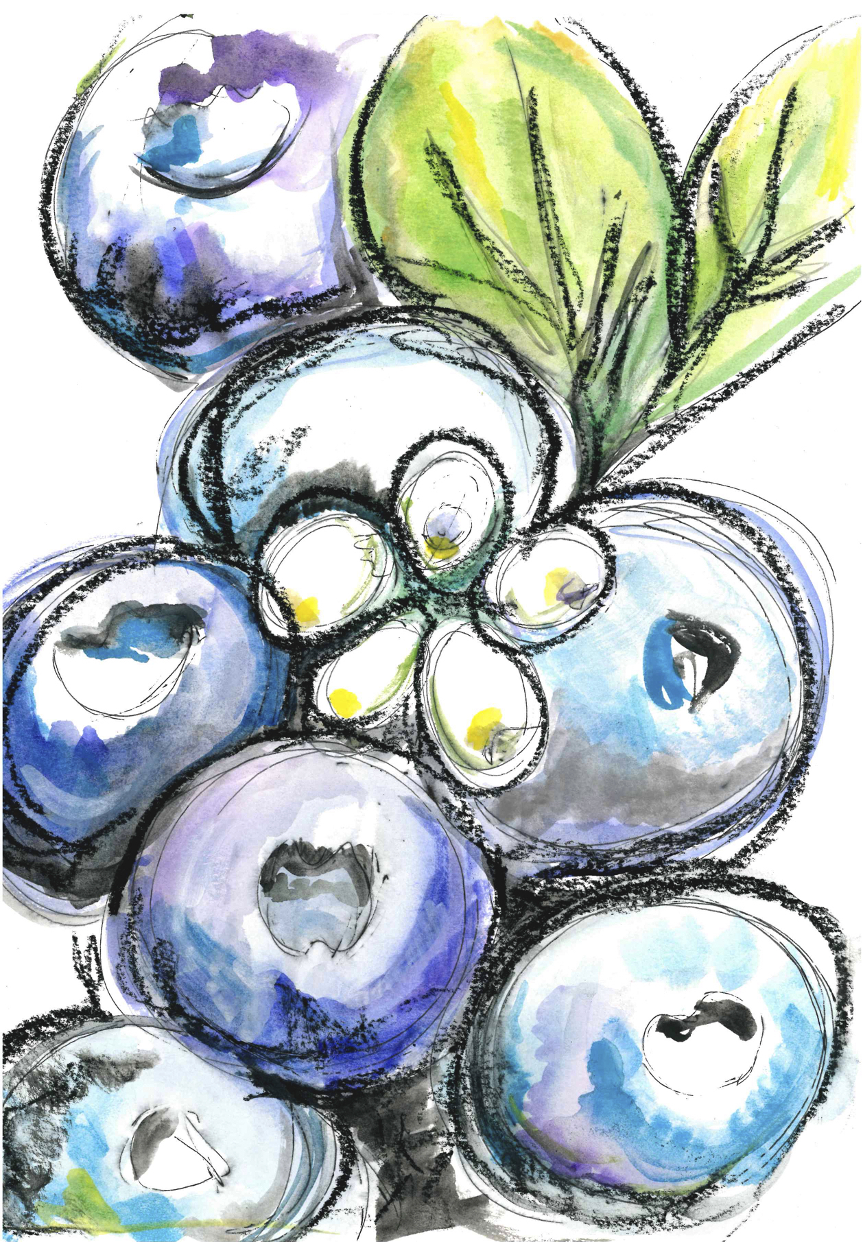 117-88-blueberry.jpg
