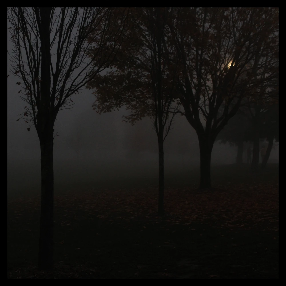 167-moonlit-mist-17098394111643.png