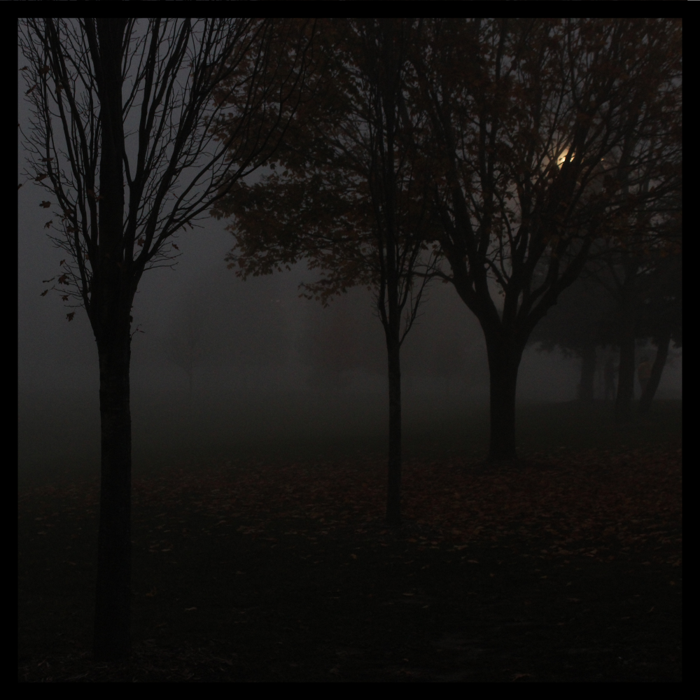 238-moonlit-mist-17098394111643.png