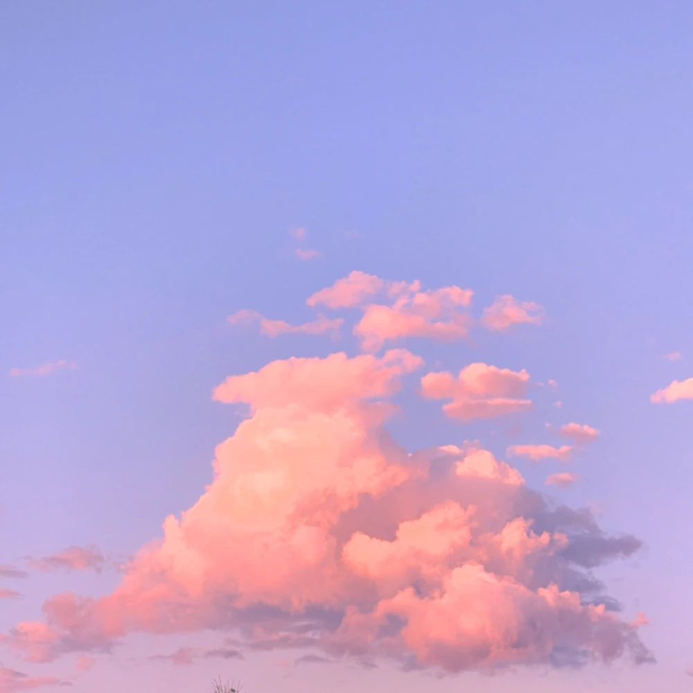238-respire-1-17807500287305.png