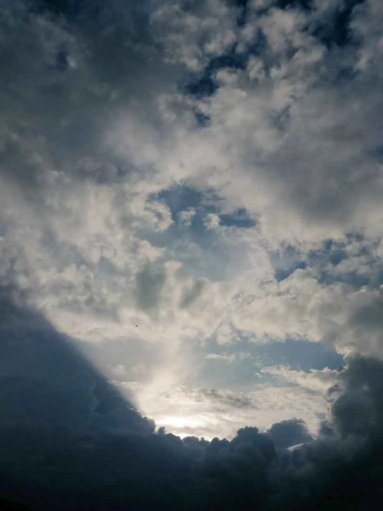 238-sunbeam-17863630942785.jpg